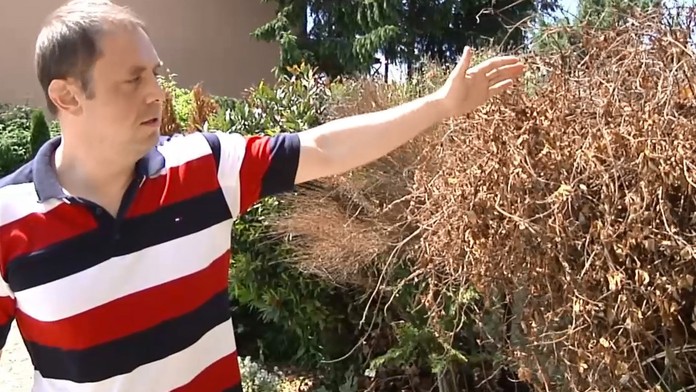 Rodina zo Sečoviec zažila po návrate domov šok. Takýto pohľad na záhradu nečakali