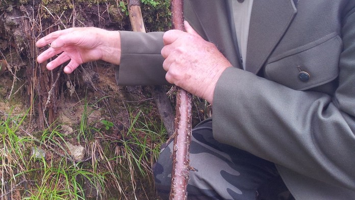 Huba narástla dole hlúbom