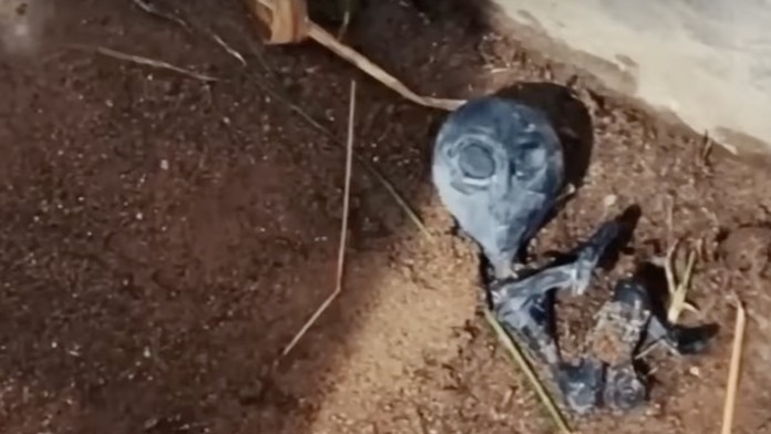 V bolívijskej dedine nakrútili záhadného tvora. Zábery údajného mimozemšťana vyvolali senzáciu