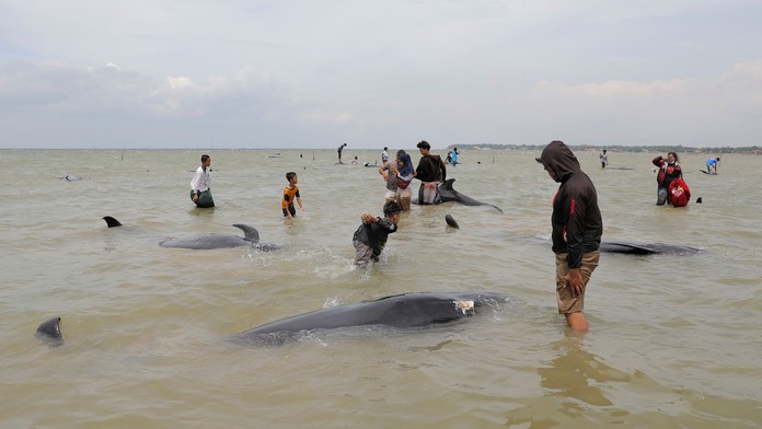 Chris Noth a Sarah Jessica Parker