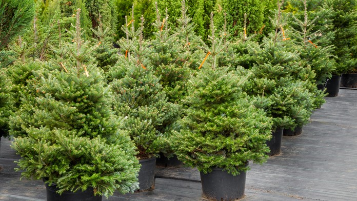 farma ep59 fotografie_markiza_sk_bez_loga.mp4