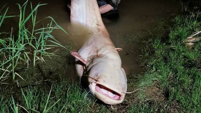 2209_LIGA_MAJSTROV__HIGHLIGHTY__22_09_P15_Ut_St_23_05_uni.mp4