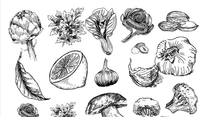 Obálka knihy Svet prírodných antibiotík.