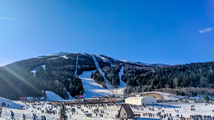 Zľava Adin Hill a Niklas Hjalmarsson z Arizony oslavujú triumf proti San Jose.