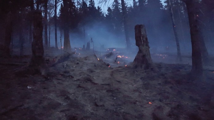 Požiar kalamitného dreva v Gemerskej Polome.