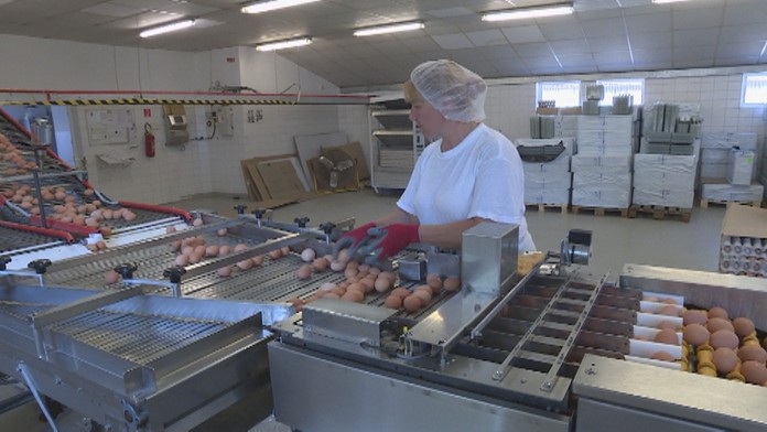 MACHALA ODVOLANY_tvnoviny.mp4