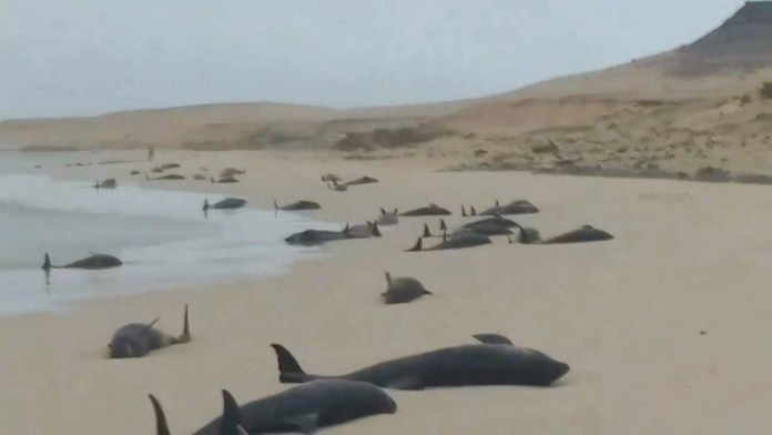 Zľava Roberto Firmino a Fabinho z Liverpoolu oslavujú gól na pôde Chelsea.