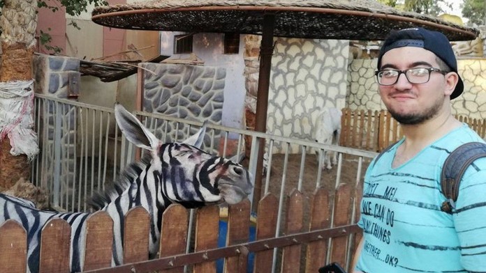 Falošná zebra v egyptskej zoologickej záhrade.