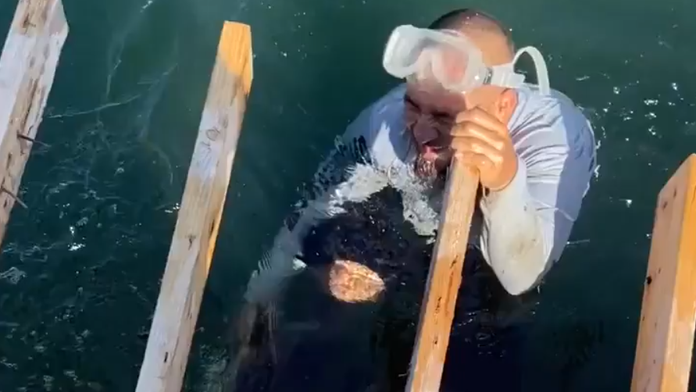 Hororový zážitok z kúpania na Floride. Mužovi sa do nohy zahryzol žralok a odmietal ho pustiť