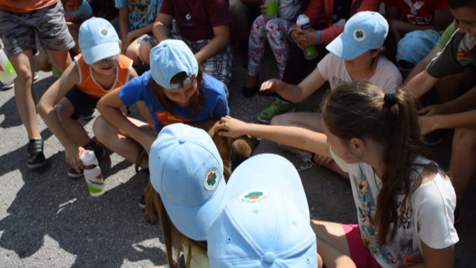 Letný tábor Nadácie Markíza a Patrika Hermana.