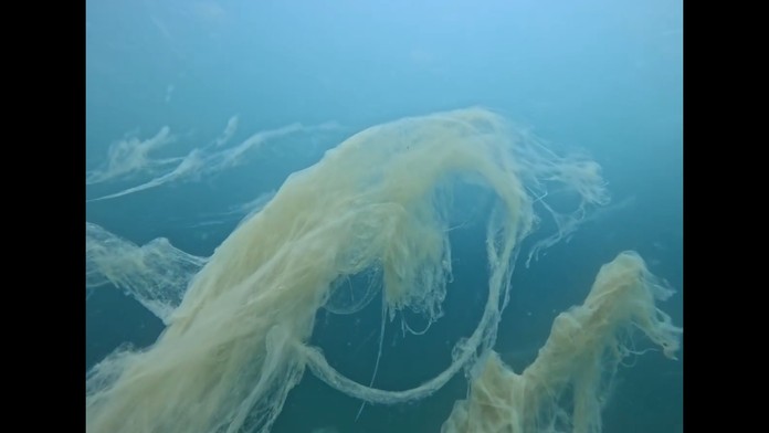 Na severe Jadranu sa vyskytol čudesný morský úkaz. Odborník opísal o čo ide