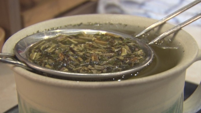 JARNE BYLINKYweb_jpg_bez_watermarku_1.jpg