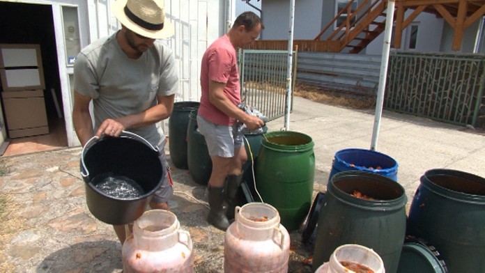 Dôležitosť kvasu.