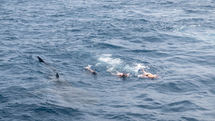 Ilustračná snímka. 