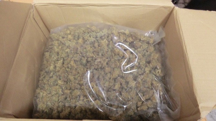 Na žilinskej vyclievacej pošte zachytili balík s vyše 500 gramami marihuany