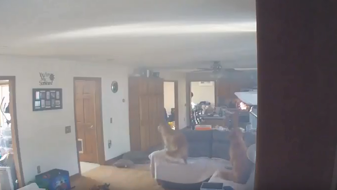 maldives_tvnoviny.mp4