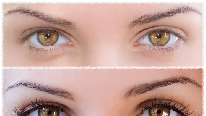 shutterstock_38397877.jpg