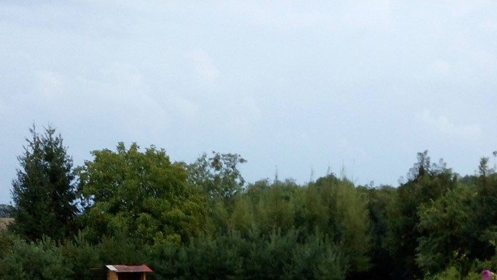 Búrka, dážď, blesky, takto ukázalo počasie v Trávnici na juhu Slovenska.