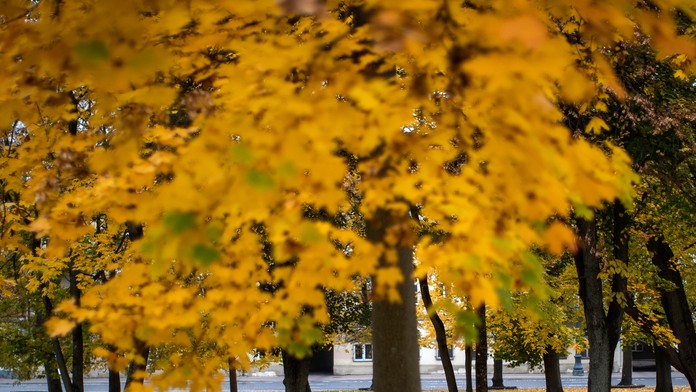 2910_FARMA_29_10_P30_dnes_21_45__12___VOYO.mp4