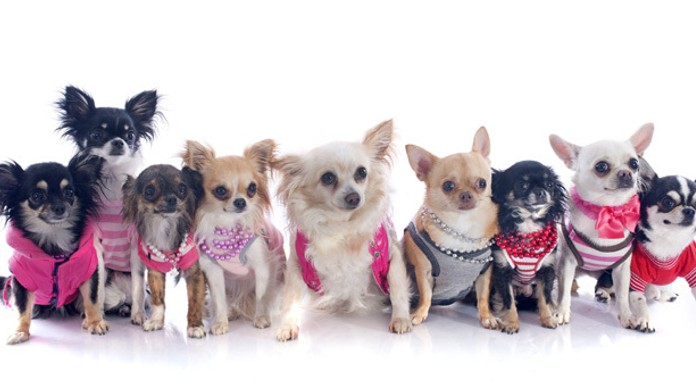 Ilustračná snímka.