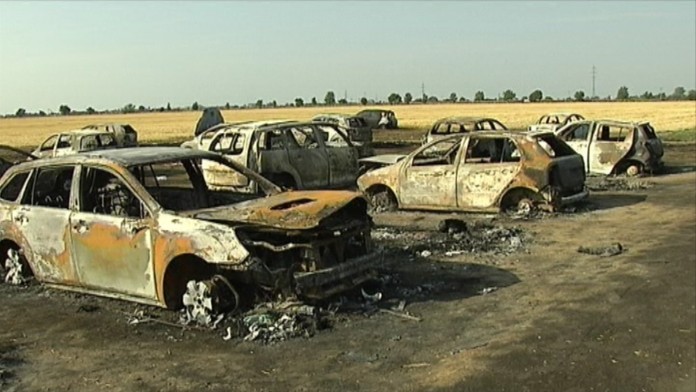 vincov lesweb_jpg_bez_watermarku_1.jpg