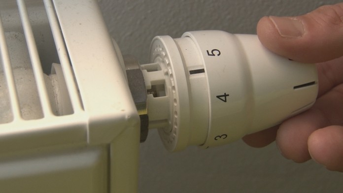 zakutia baziliky_tvnoviny.mp4