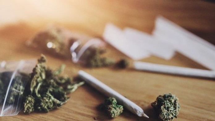 Myslíte si, že marihuana je neškodná? Nová štúdia odhalila negatívny vplyv na dôležitý orgán