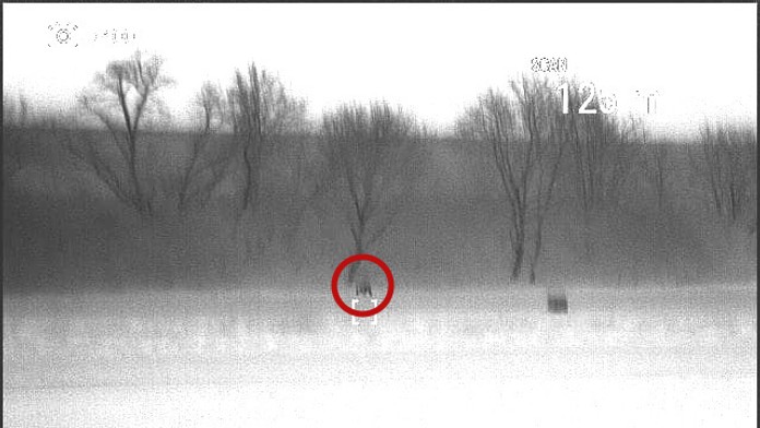 Medveď hnedý v obci Pata. 