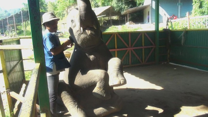 Ilustračná snímka.