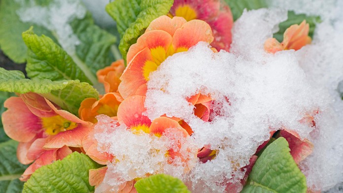 Ilustračná snímka.