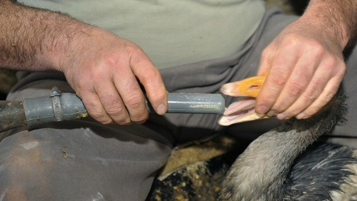 Talianka Lisa Vittozziová (uprostred), druhá skončila Anastasia Kuzminová (vľavo) a tretia Francúzka Anais Chevalierová