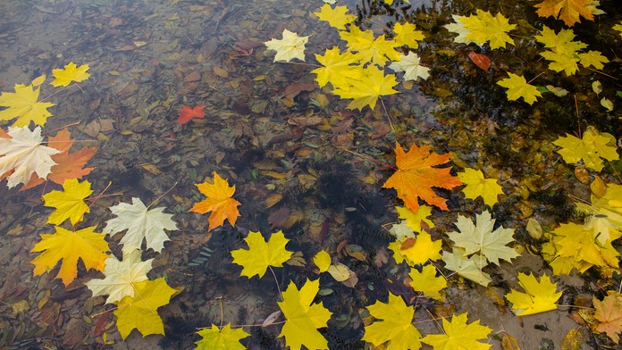 Cez víkend sa objavia oblaky a občas aj spŕchne