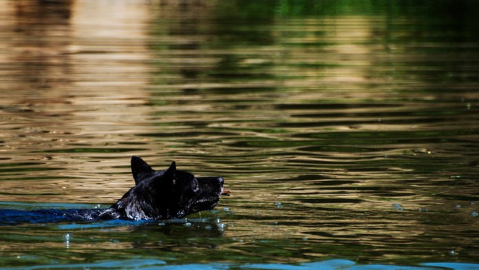 Tragédia v Taliansku. Dve ženy sa utopili, keď chceli z rieky zachrániť psa