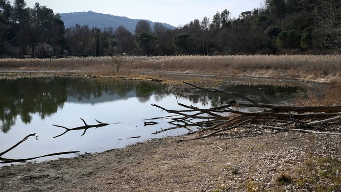 Európske prírodné poklady sú na pokraji zániku. Takmer všetky sú u našich susedov