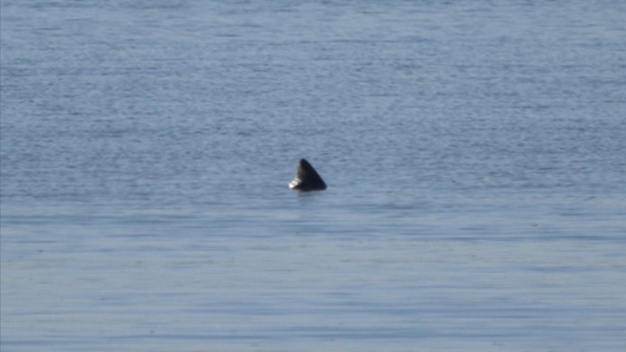 Križovatka v Martine.