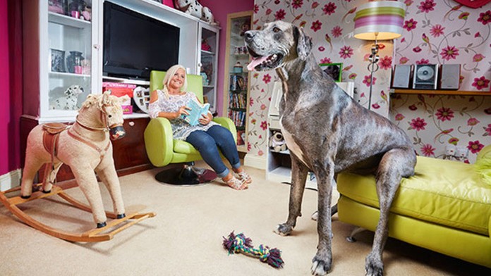 Rodina Lamontových.