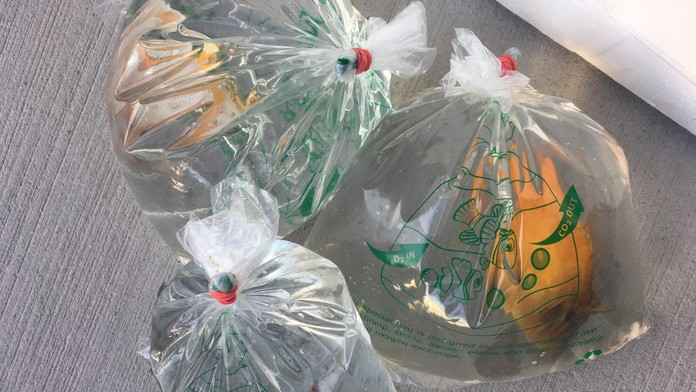 FOTO: Najbizarnejšie zásielky, ktoré poslali Slováci. Známa doručovateľská firma zverejnila fotografie