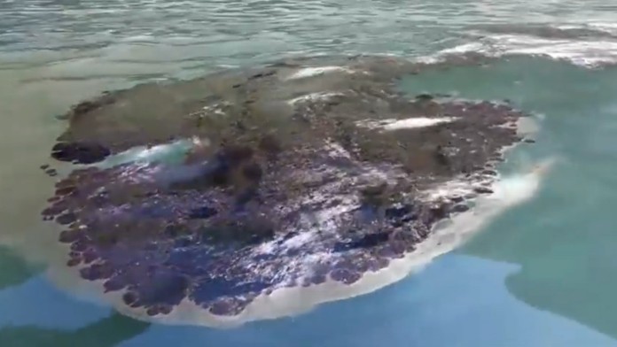 Z potopenej ruskej lode pri Kanárskych ostrovoch uniká palivo.