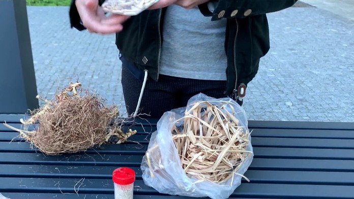 Ozdobnica.