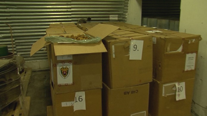 Ilustračná snímka.