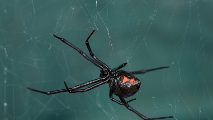 17 PO Maturuju dobrovolne.transfer_tvnoviny.mp4