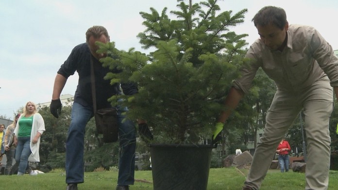 den fas_tvnoviny.mp4