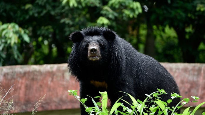 Ilustračná snímka.