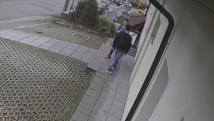 Dovjicu zachytila kamera.