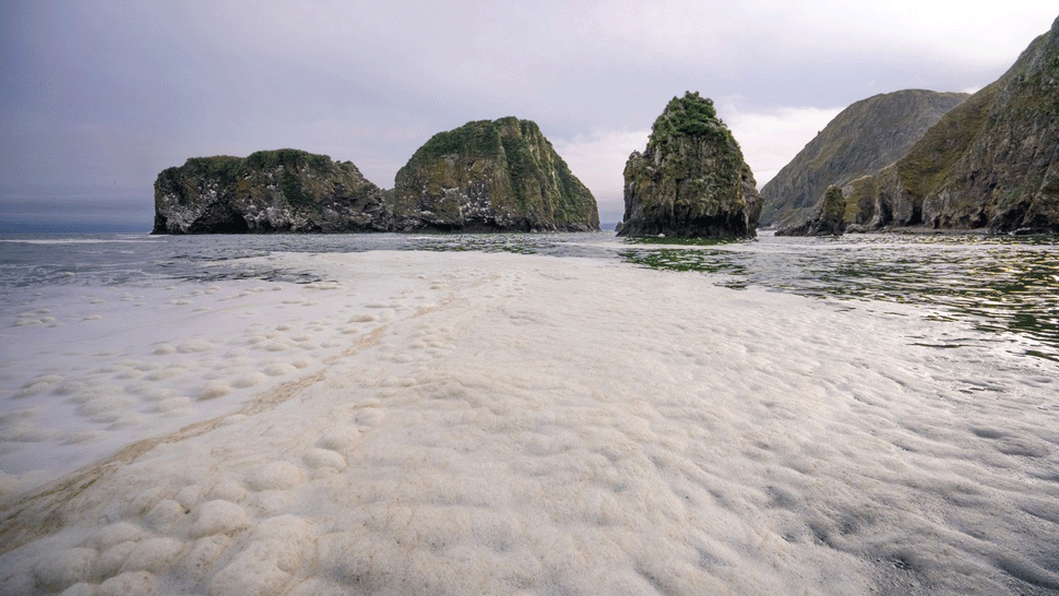 Markíza Backstage - Oteckovia