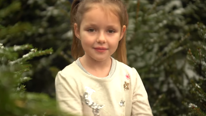 macoskova ii.pilier_tvnoviny.mp4