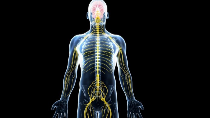 Na Slovensku sa čoraz častejšie vyskytuje choroba, ktorá robí z mladých invalidov