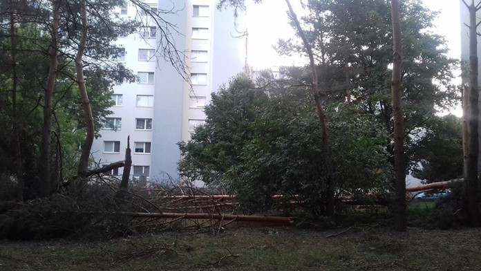 Polámané stromy v Dúbravke.