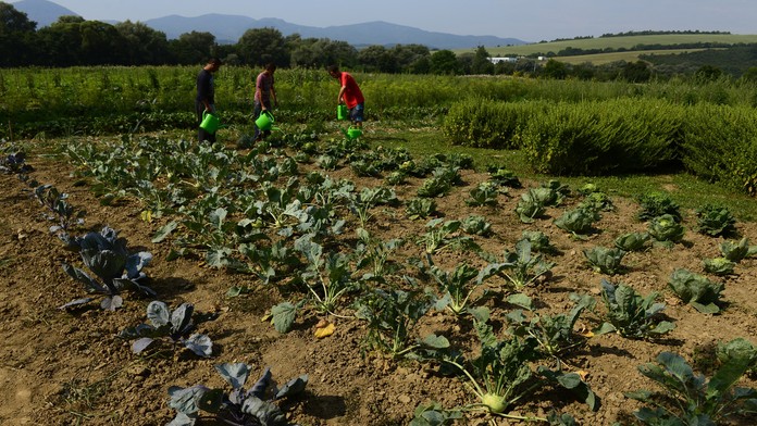 Ilustračná snímka. 