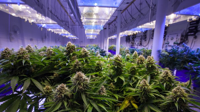 Ilustračná snímka. 